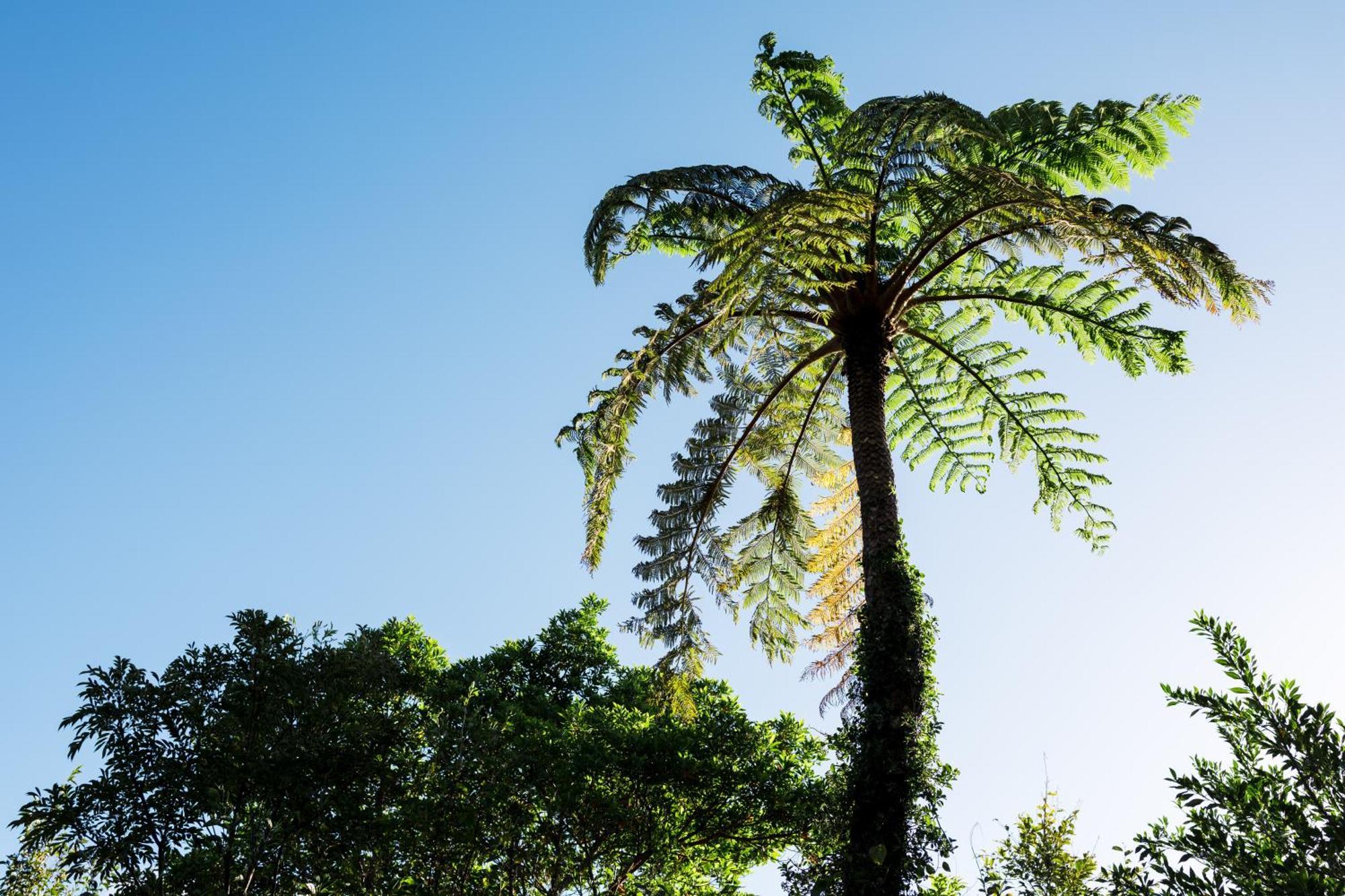 Отель Coral Palms Suno Экстерьер фото